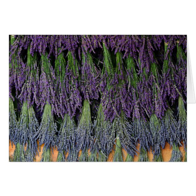 Lavender on Drying Rack (Front Horizontal)