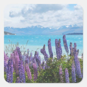 lavender on the lake shore square sticker