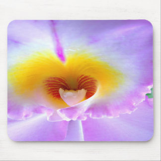 Lavender Orchid Mouse Pad