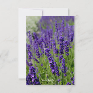 Lavender Patch Card