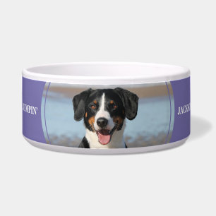 Lavender Paw Print Personalised bowl with Photo