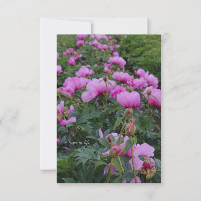 Lavender Peonies Card (Front)