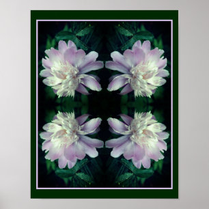 Lavender Peony Flower In Bloom Abstract Poster