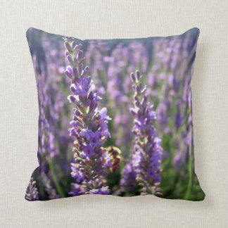 Lavender Pillow