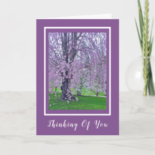 LAVENDER PINK WEEPING CHERRY TREE/Thinking Of You Card