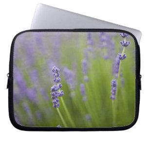 Lavender plants 2 laptop sleeve