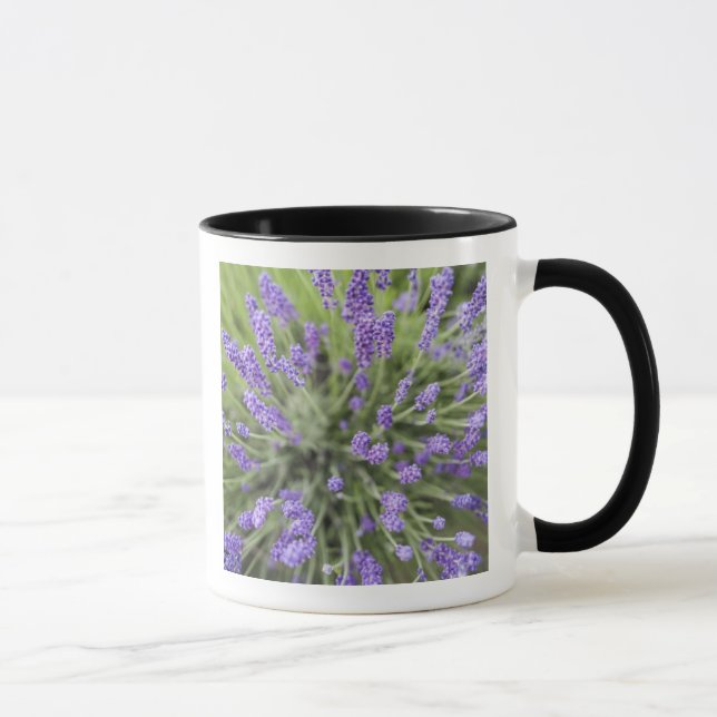 Lavender plants mug (Right)