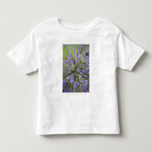 Lavender plants toddler T-Shirt