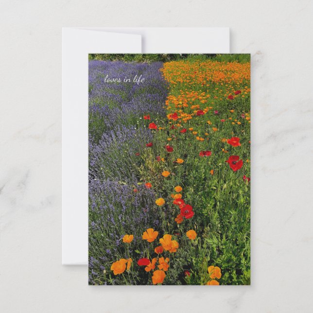 Lavender & Poppies Card (Front)