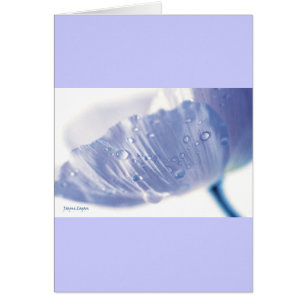 Lavender Poppy & Raindrops, template
