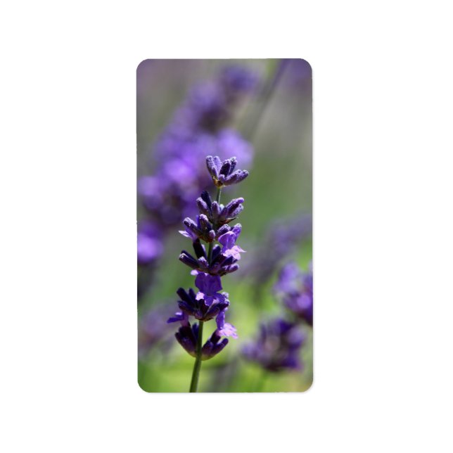Lavender Portrait Label (Front)