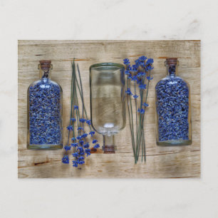 Lavender Postcard
