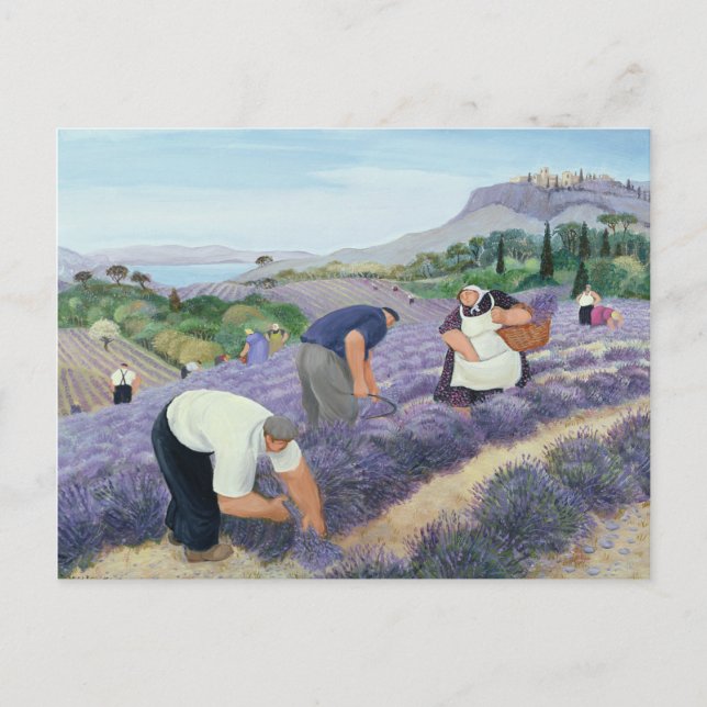 Lavender Postcard (Front)