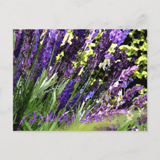 Lavender Postcard