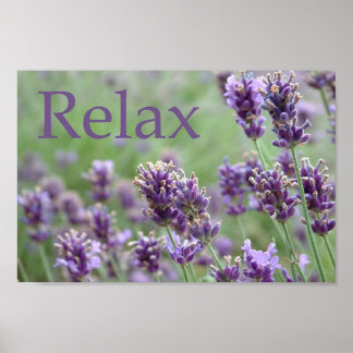Lavender Poster