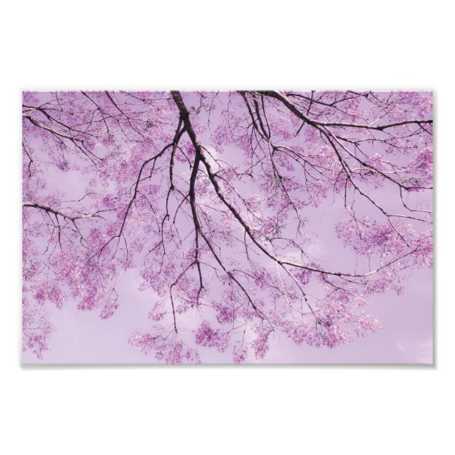 Lavender Purple Tree Photograph (Front)