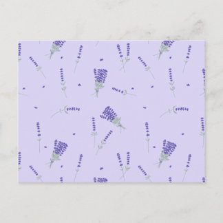 Lavender Purple Wildflower Floral Botanical Postcard