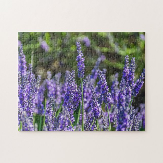 Lavender puzzle (Horizontal)