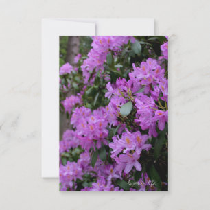 Lavender Rhododendron Card