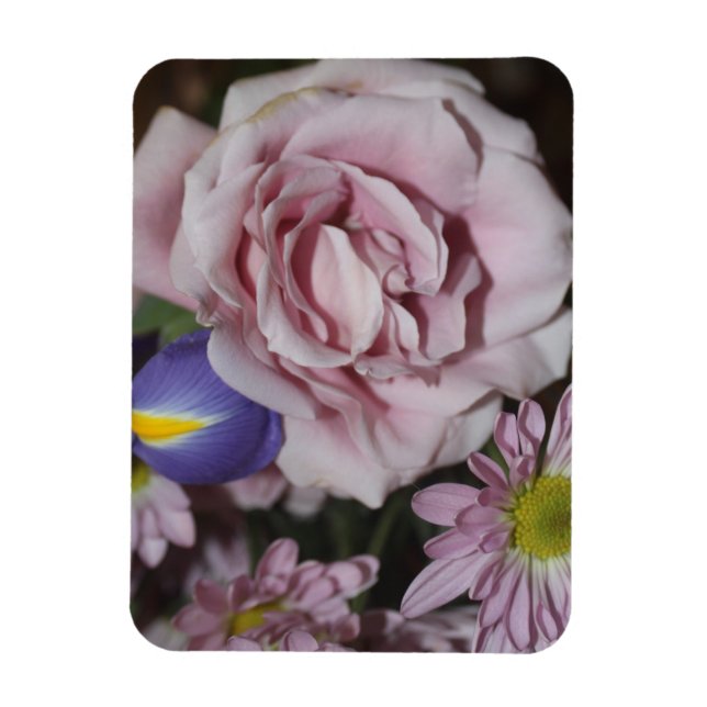 Lavender Rose Magnet (Vertical)