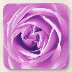 Lavender rose print coaster