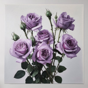 Lavender Roses Flower Art Print Poster