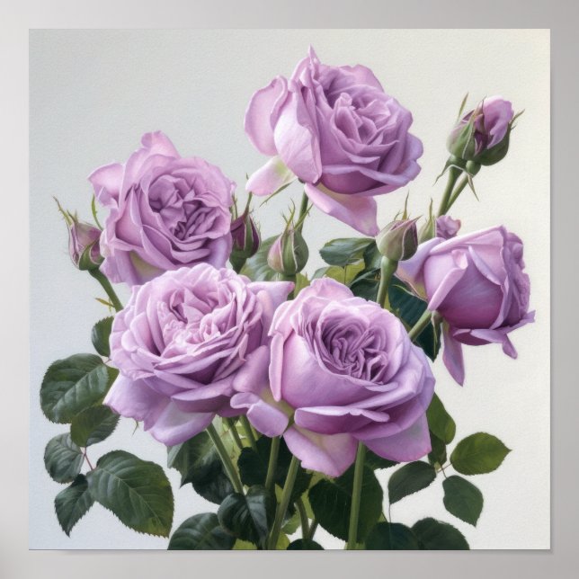 Lavender Roses Flower Art Print Poster (Front)