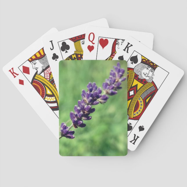 Lavender Stalk Photo Classic Playing Cards (Back)