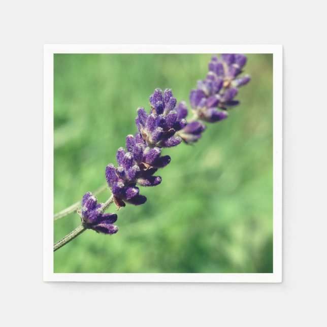 Lavender Stalk Photo  Paper Napkins (Front)