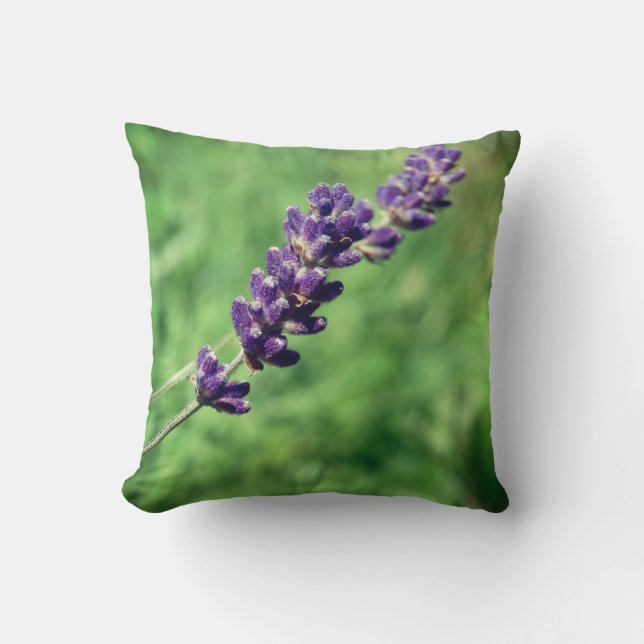 Lavender Stalk Photo  Throw Cushion (Front)