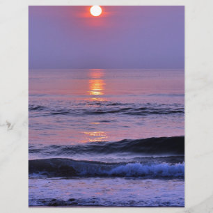 Lavender sun