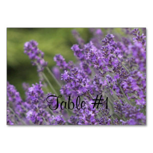Lavender Table Number