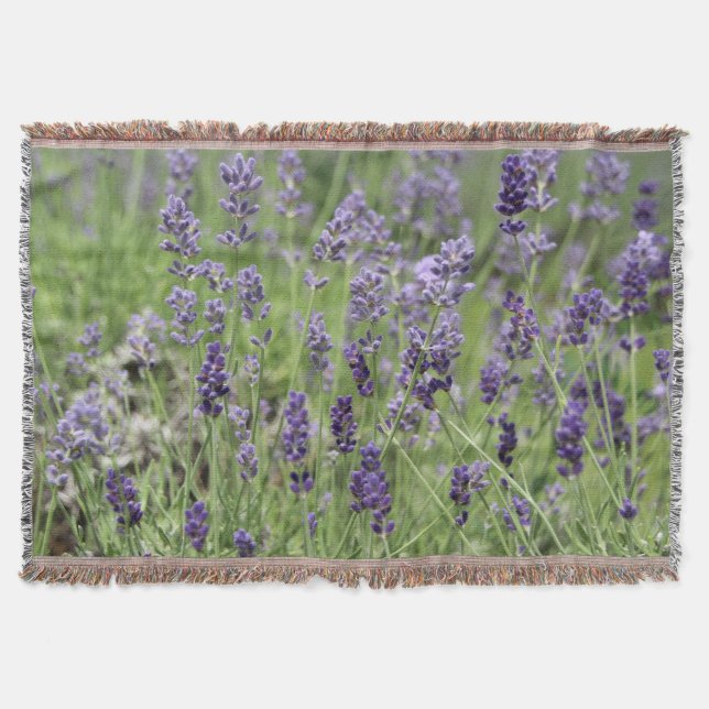Lavender Throw Blanket (Front)