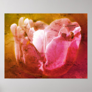 Lavender Tulip With Tiny Bee Distressed Art Poster