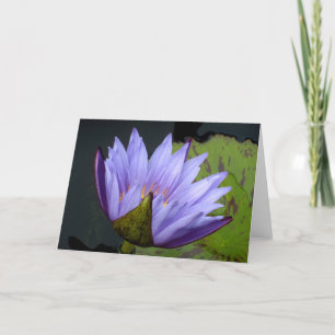 Lavender Water Lily Card