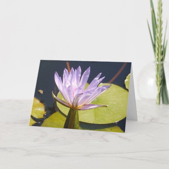 Lavender Water Lily Card (Front)