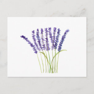 Lavender Watercolor Purple Flowers Rustic Postcard