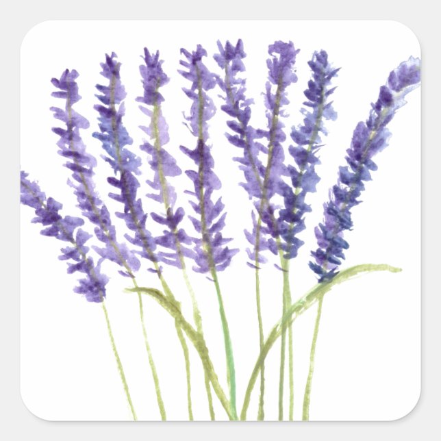 Lavender watercolour painting, purple flowers square sticker (Front)