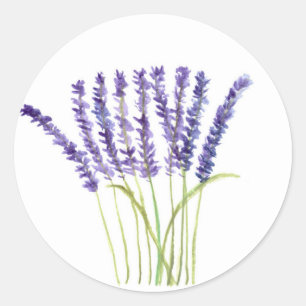 Lavender watercolour purple flowers Floral herbs Classic Round Sticker