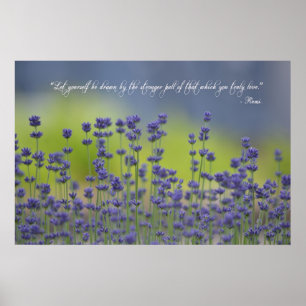 Lavender with Quote Poster