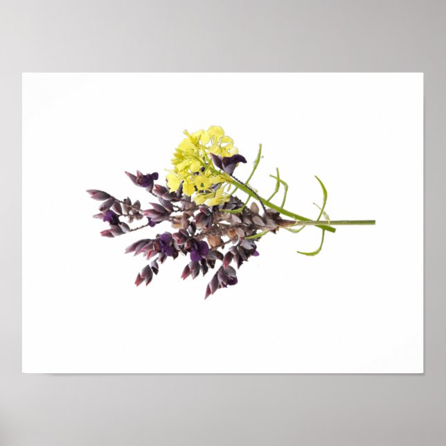 Lavender & Yellow Wildflower Botanical Design Poster (Front)