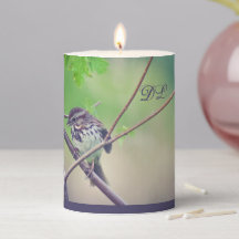 LavishlyOn Spring Bird Nature's Hues