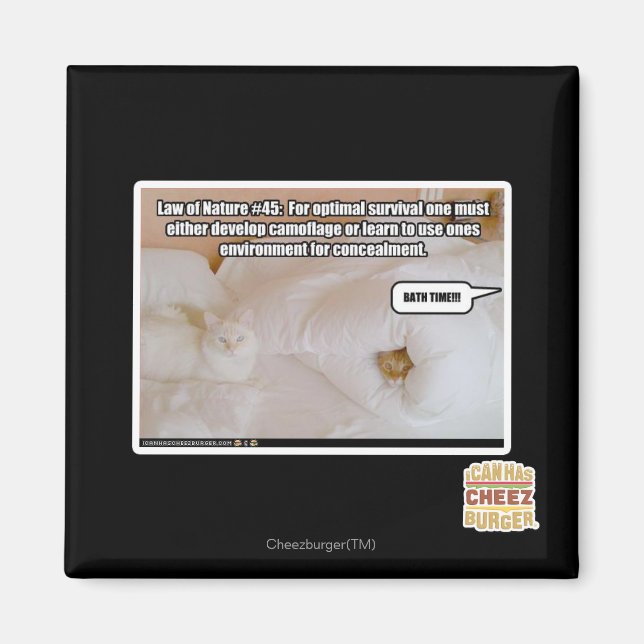 Law of Nature #45 Magnet (Front)