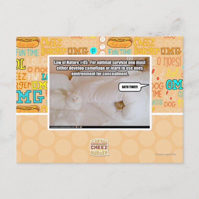 Law of Nature #45 Postcard (Front)