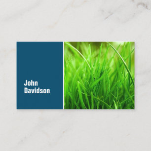 Lawn Care Blue Green Grass Business Card