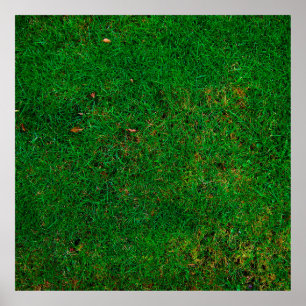 Lawn grass meadow texture yard poster