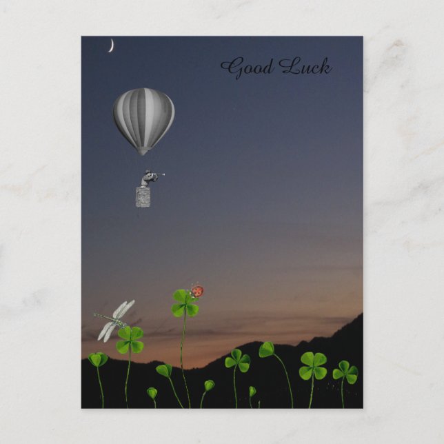 Lawn with four leaf clover - Good Luck Postcard (Front)