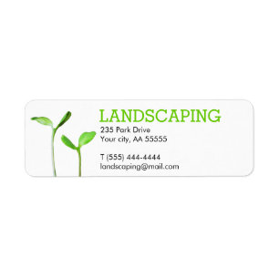 Lawncare Landscaping Lawn green sprouts