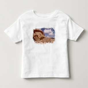 Lawrence of Arabia's house during Toddler T-Shirt