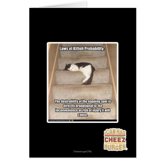 Laws of Kitteh Probability (Front)